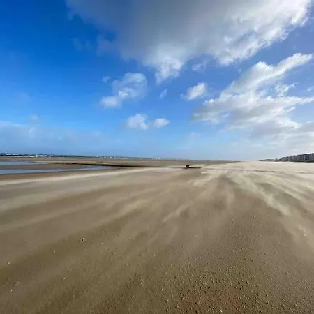 Cricri - Pour 10 Personnes Proche Mer Koksijde